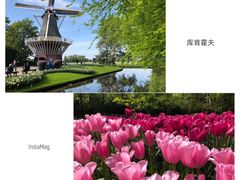 -库肯霍夫公园