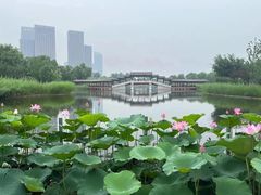 -西海子公园