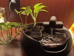 -聆耳·采耳·按摩·SPA(会展中心店)