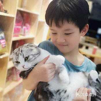 好大 (✪▽✪) 好大