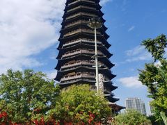 -红梅公园