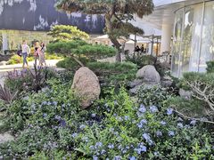 -罗红摄影艺术馆