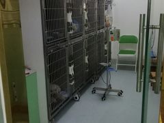 -汪喵宠物医院·骨科心脏影像·犬猫急重症ICU诊疗中心(成华分院)