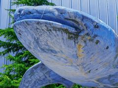 -烟台海昌鲸鲨海洋公园