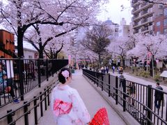 -东京浅草和服体验江户和装工房雅(浅草本店)