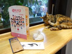 -猫的天空之城概念书店(杭州南宋御街店)