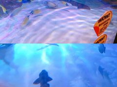 -沈阳海洋探索中心