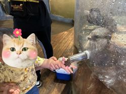 -Zoolung Zoolung动物主题公园(海信广场店)