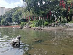 -荔湾湖公园