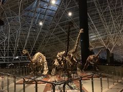 -世界恐龙谷景区