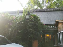 -老茶树骊园生态川菜馆