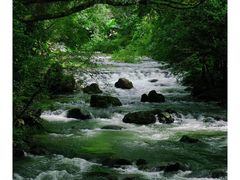 -广州市石门国家森林公园