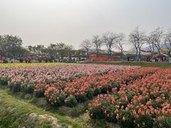 -盈香心动乐园