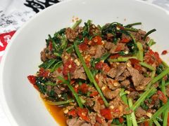 香菜炒牛肉-壹盏灯(惠农店)