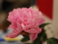 -W CAFE(甜爱路店)