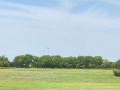 -西京湾花海