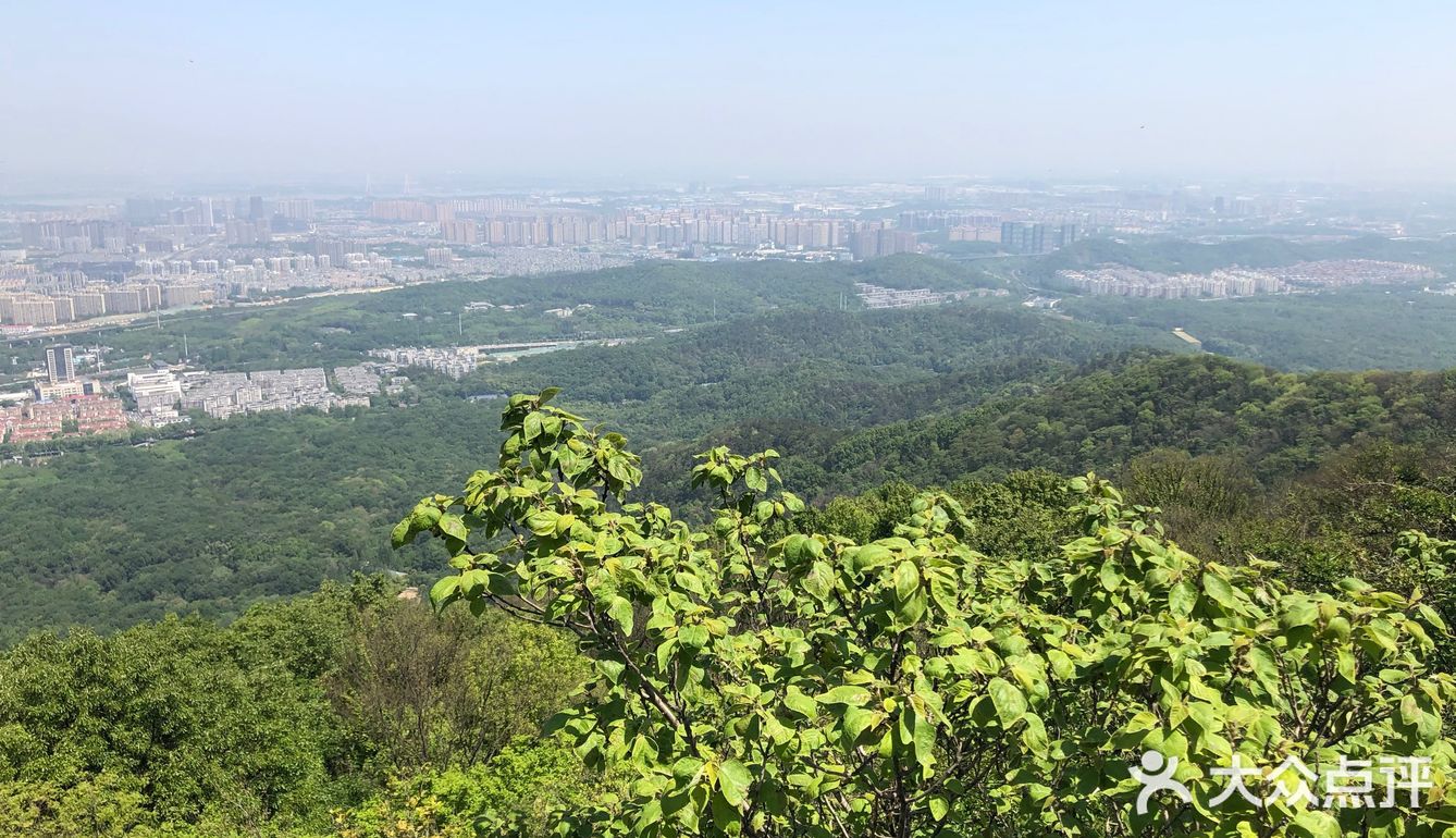 南京人很有福这个城市，有山有水