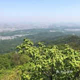 南京人很有福这个城市，有山有水