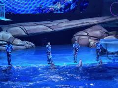 -海合安武汉极地海洋公园