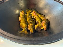 -江湖水乡铁锅炖魚(周庄嘉园店)