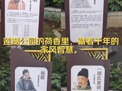 -莲湖公园