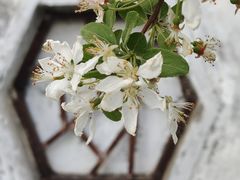 -朝阳公园