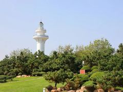 -日照海滨国家森林公园