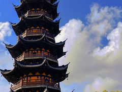 -龙华素斋(龙华路店)