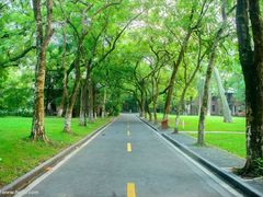 -中山大学广州校区南校园怀士堂