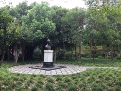 -上海交通大学医学院附属上海儿童医学中心(陆家嘴总院区)