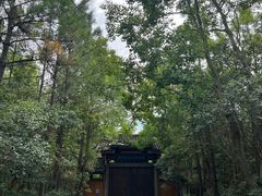 -上海海湾国家森林公园