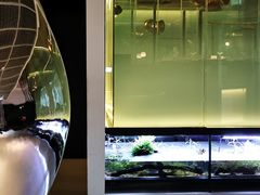 -CHIC1699远洋私厨