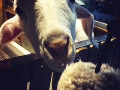 -上海大自然野生昆虫馆