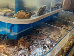 -黑木原精致料理·铁板烧