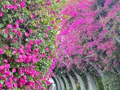 -布里斯班南岸公园