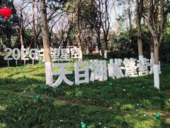 -天目湖山水园