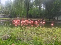 -石家庄市动物园