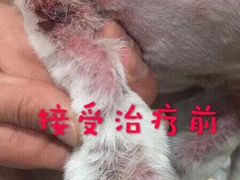 -萌兽医馆·宠物医院·猫骨科(创景店)