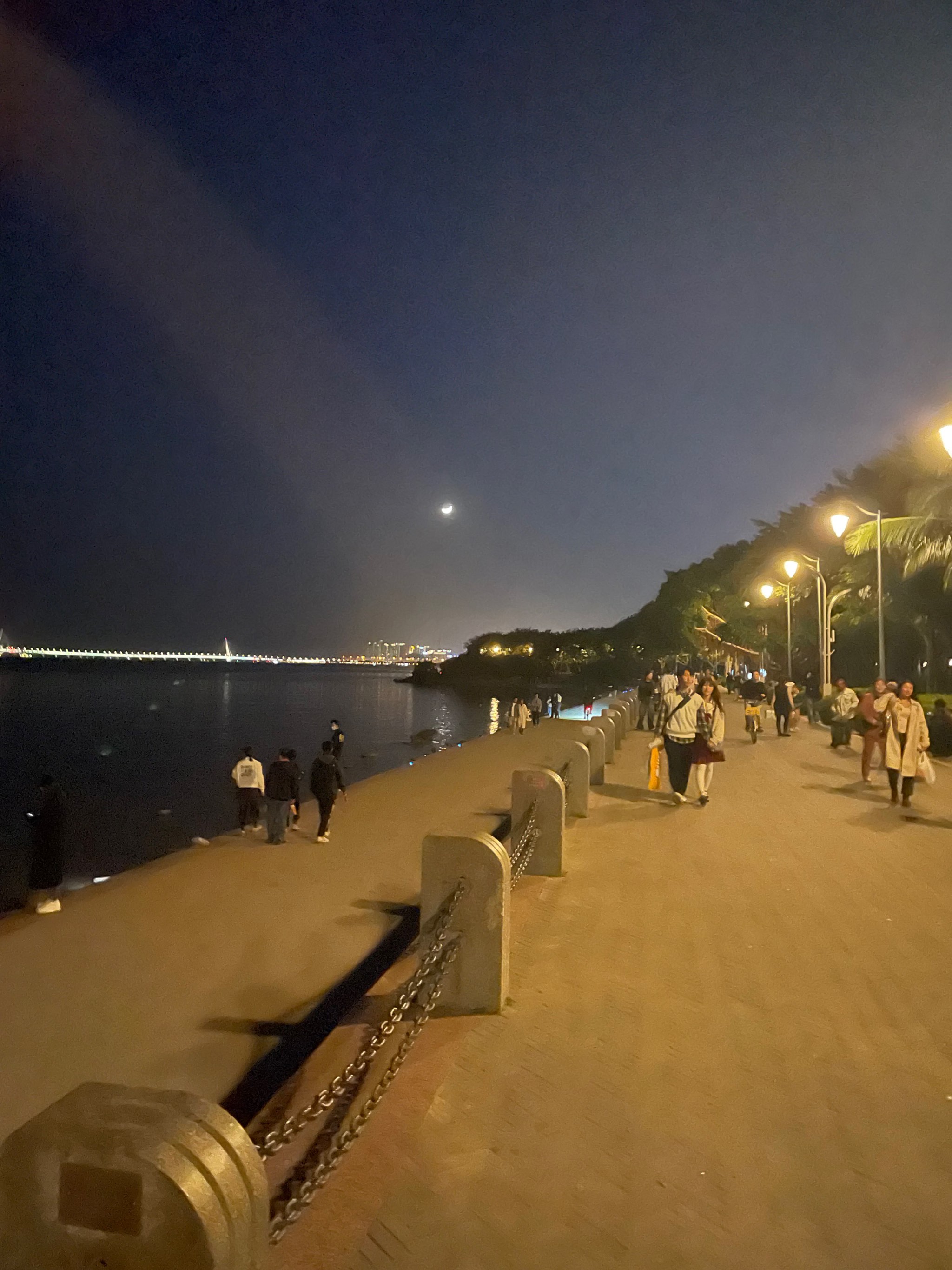 夜晚的深圳湾公园真的好治愈