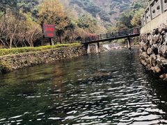 -宁波五龙潭景区