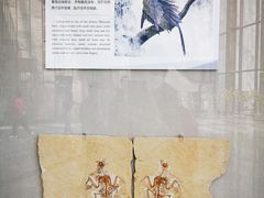 -房山世界地质公园博物馆