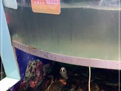 -七欣天香辣蟹火锅(南京建宁路大观天地店)
