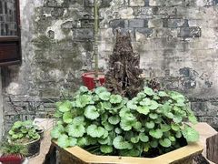 -月栖华明-云间草堂清茶馆(泗泾古镇店)