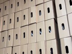 -老袁家蜜桃农场·阳山水蜜桃