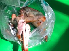 -大益烤鸡