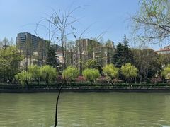 -西湖文化广场