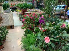 -双季花艺园艺市场(浦东店)