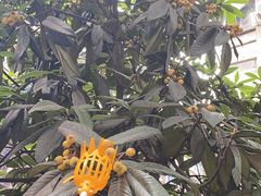 -汉口江滩-江滩观星台