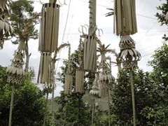 -新加坡飞禽公园