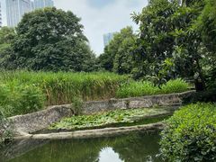 -成都市活水公园